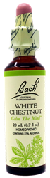 White Chestnut 20ml